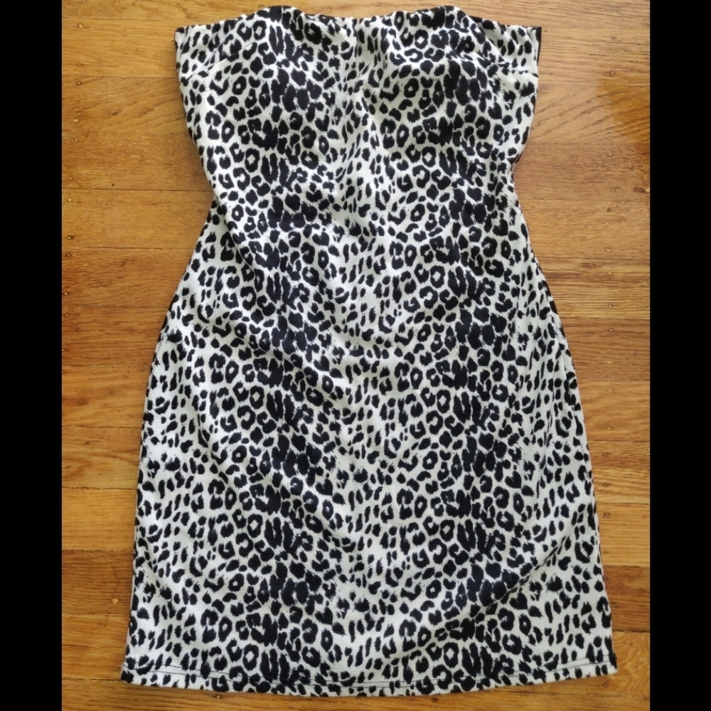 Leopard Print Mini Dress